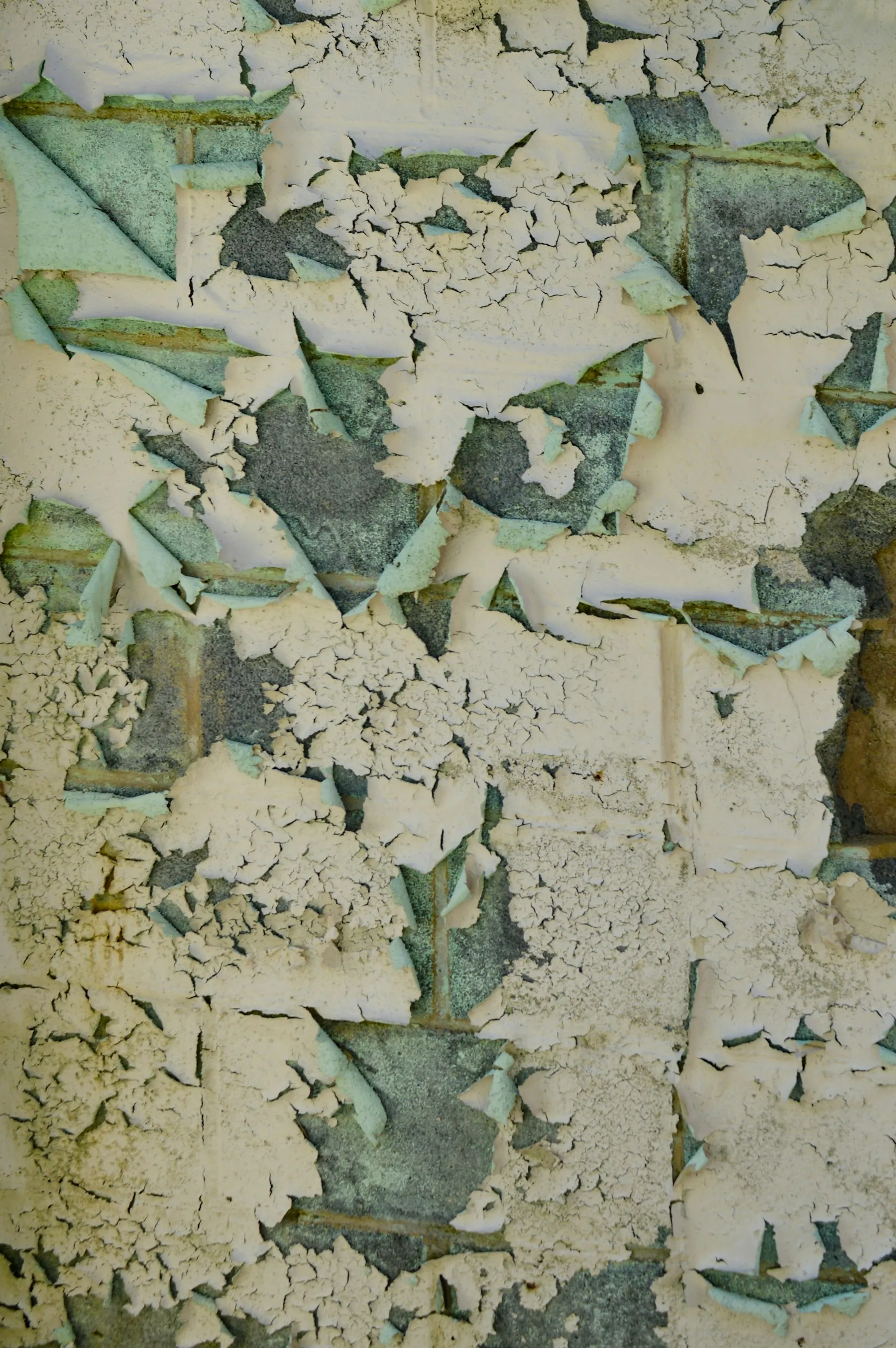 Paint and plaster blown and peeling off a damp wall